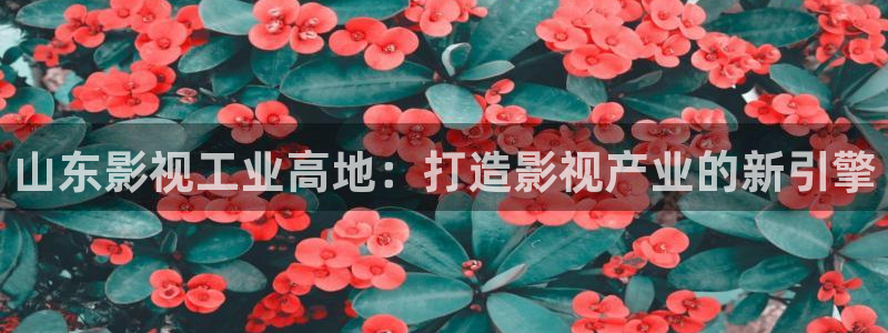 播播影院在线播放：山东影视工业高地：打造影视产业的新引擎