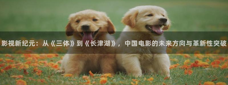 yy怎样直播播放电影：影视新纪元：从《三体》到《长津湖》，中国电影的未来方向与革新性突破