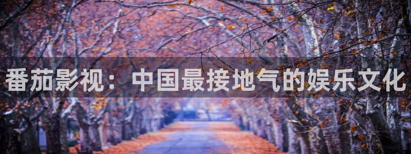 播播影院五月天：番茄影视：中国最接地气的娱乐文化