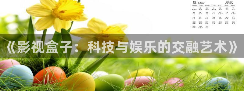 播播岛热岛电影网伦看片：《影视盒子：科技与娱乐的交融艺术》