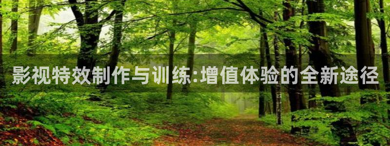 播播影院看电影：影视特效制作与训练:增值体验的全新途径