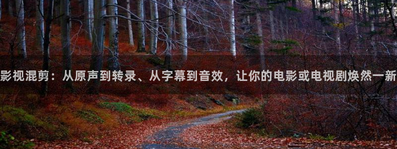 青青草播播影院：影视混剪：从原声到转录、从字幕到音效，让你的电影或电视剧焕然一新