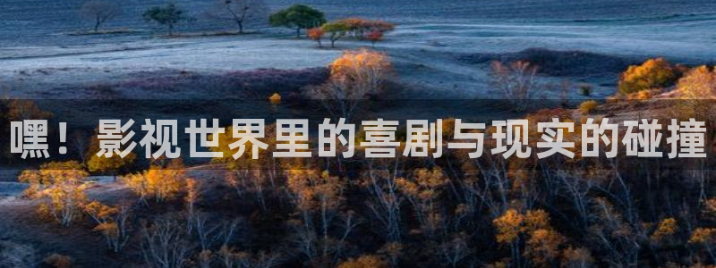 播播影院在线：嘿！影视世界里的喜剧与现实的碰撞