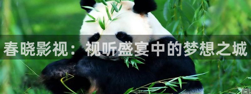 播播影院手机高清影院：春晓影视：视听盛宴中的梦想之城