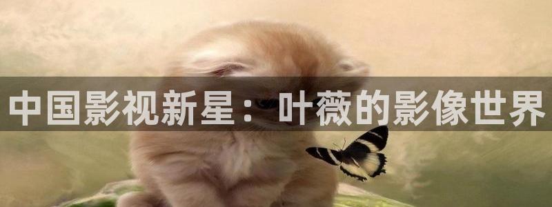 播播岛影片：中国影视新星：叶薇的影像世界