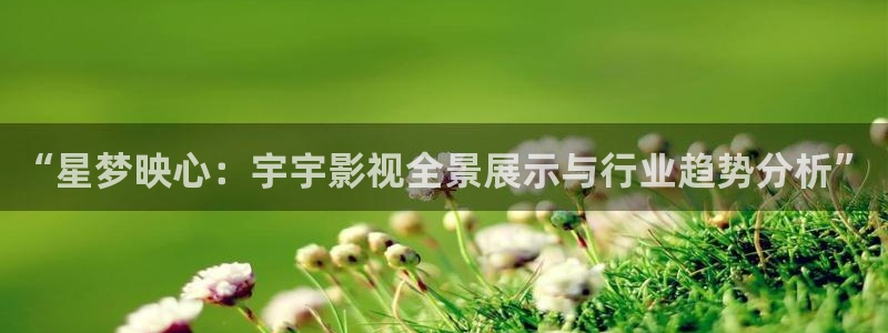播播电影院：“星梦映心：宇宇影视全景展示与行业趋势分析”
