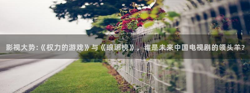 无人直播播放电影会违规吗：影视大势:《权力的游戏》与《琅琊榜》，谁是未来中国电视剧的领头羊?